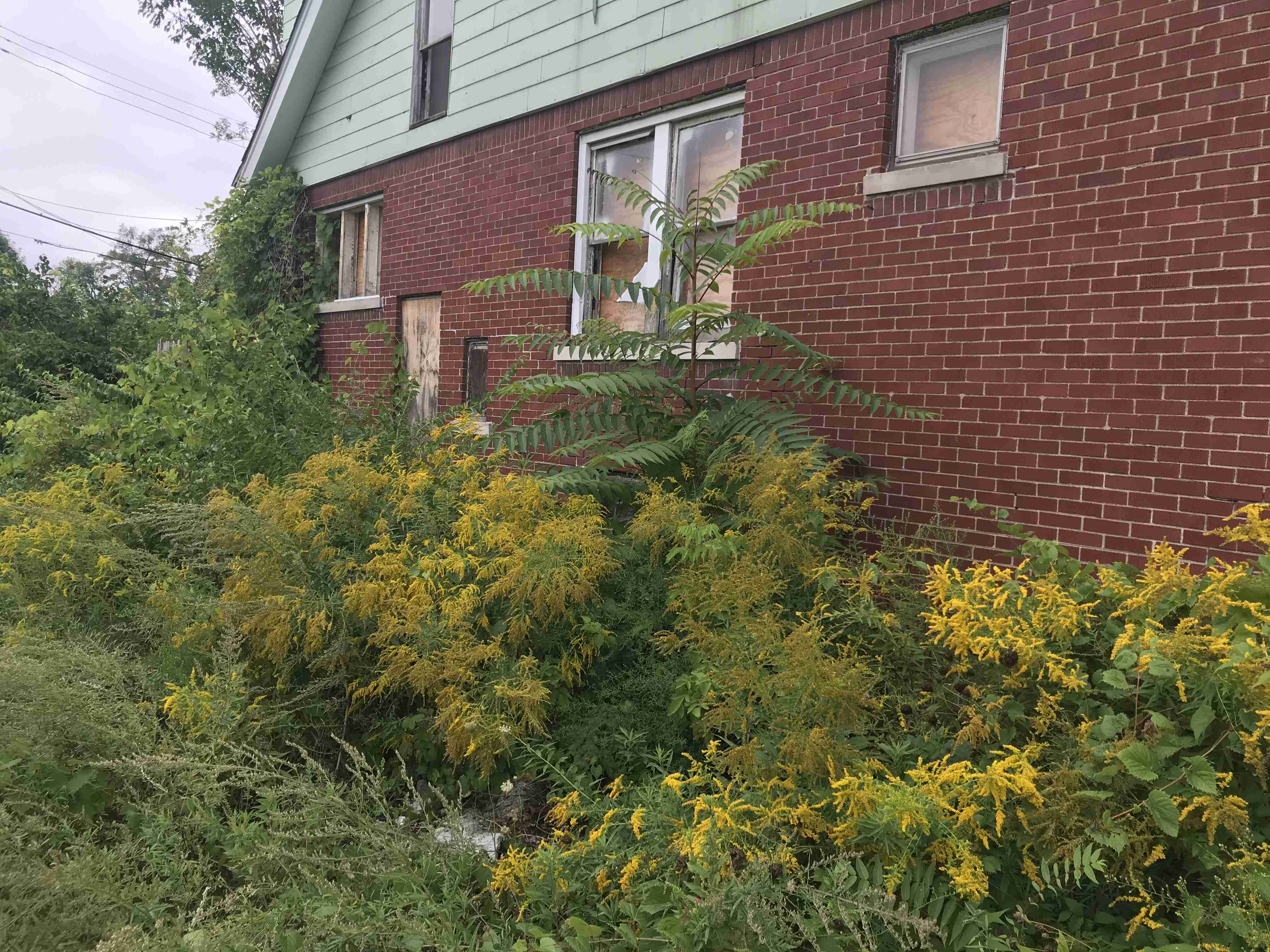 Photo Sep 09, 4 16 30 PM.jpg